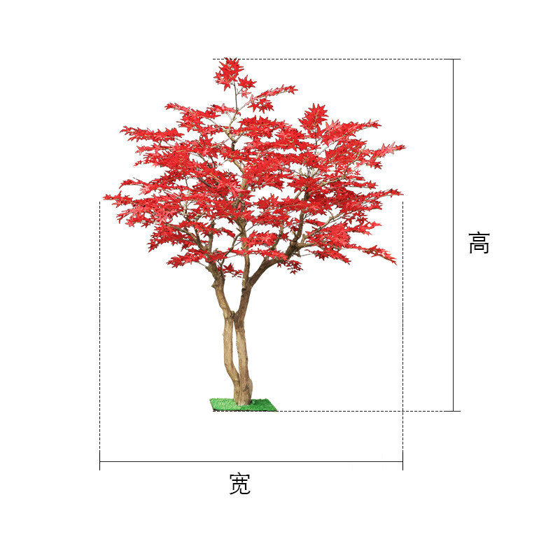 Red maple tree floor-to-ceilin - đánh giá và giá Gardening Hand Tools Japanese