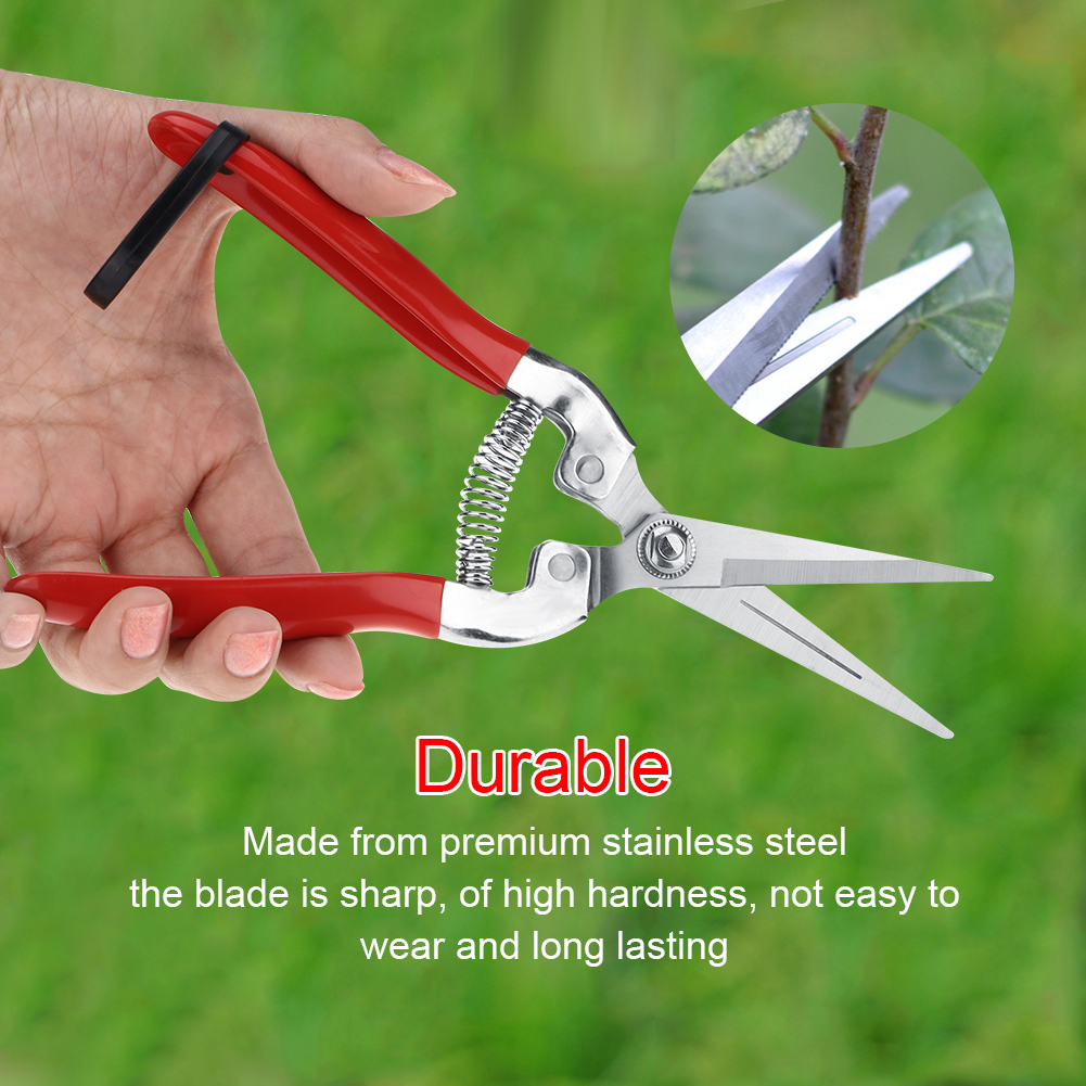 Sturdy Fruit Tree Bonsai Garde - đánh giá và giá Gardening Tools Vegetables