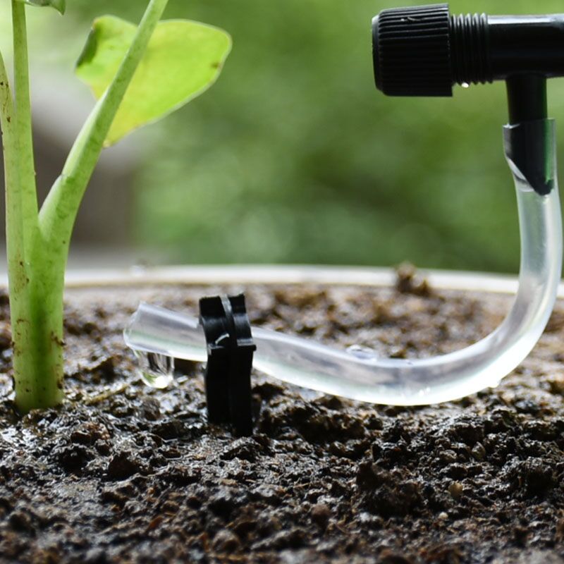 Tự Động Hệ Thống Tưới Nhỏ Giọt - đánh giá và giá Automatic Plant Waterer