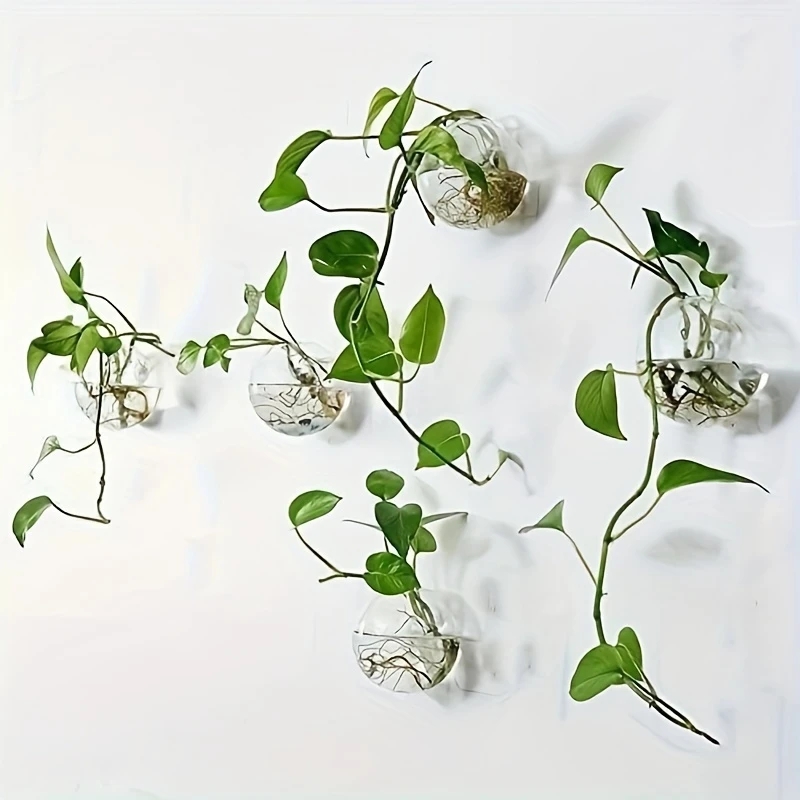 2/4/6 Pack Wall Hanging Glass  - đánh giá và giá Self-Watering Planter