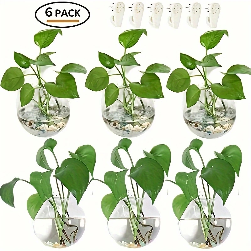 2/4/6 Pack Wall Hanging Glass  - đánh giá và giá Self-Watering Planter