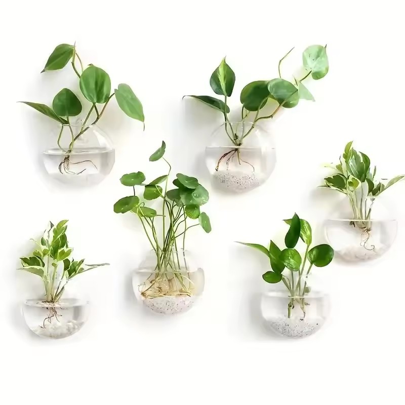 2/4/6 Pack Wall Hanging Glass  - đánh giá và giá Self-Watering Planter