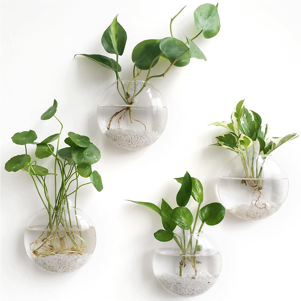2/4/6 Pack Wall Hanging Glass  - đánh giá và giá Self-Watering Planter