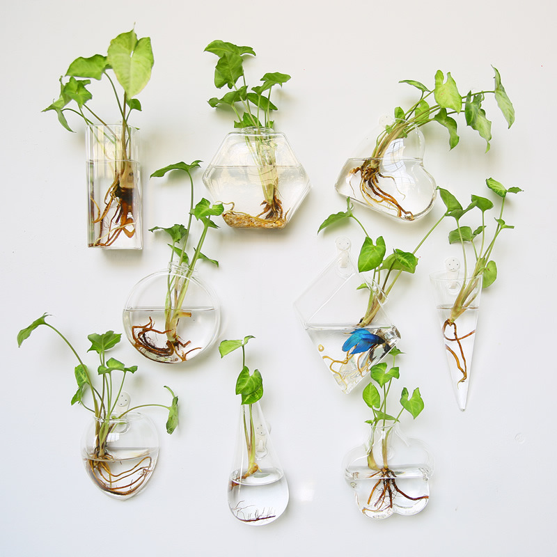 Wall Hanging Glass Terrarium - - đánh giá và giá Self-Watering Planter