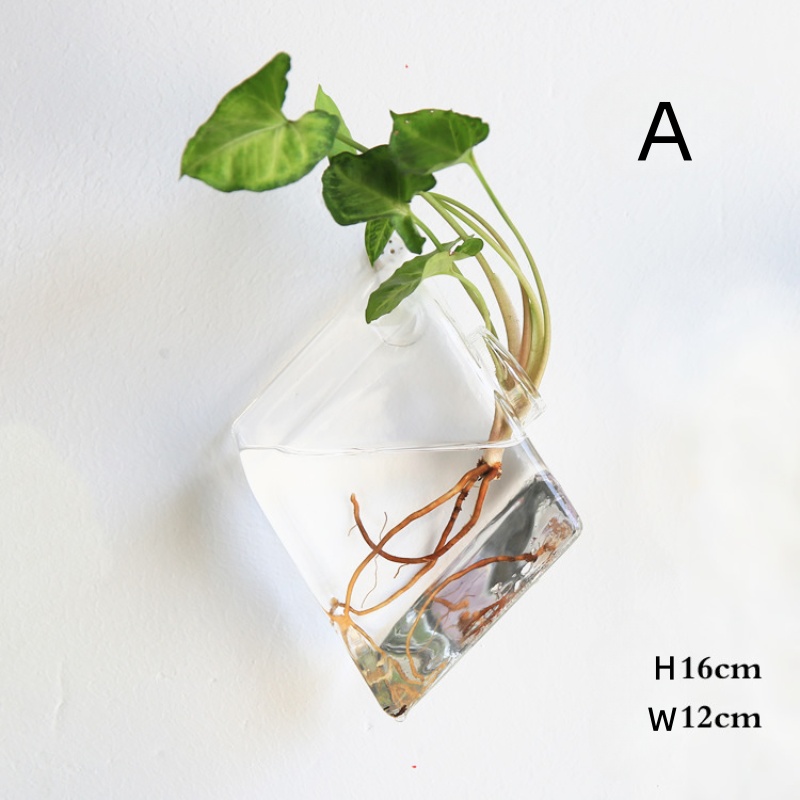 Wall Hanging Glass Terrarium - - đánh giá và giá Self-Watering Planter